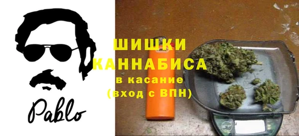 стаф Абаза