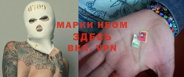 стаф Абаза