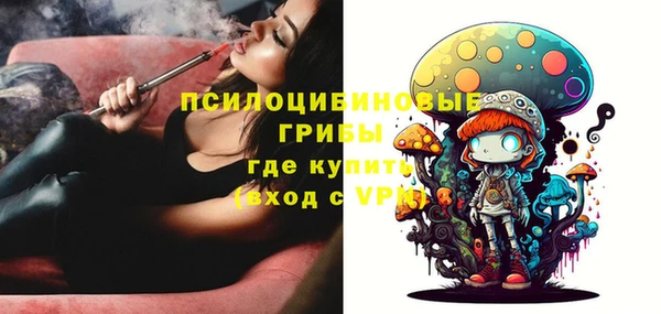 ECSTASY Няндома